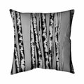 Begin Home Decor 20 x 20 in. Birches Intersecting-Double Sided Print Indoor Pillow 5541-2020-LA51-2